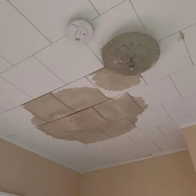 Ceiling Water Damage Repair in Beltrami County, MN